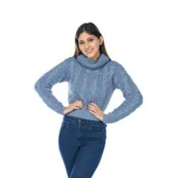 Women Sky Solid Wool Blend Knitted Cowl Neck Winter Top